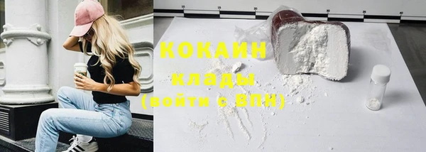 крисы Баксан