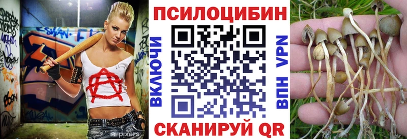 Псилоцибиновые грибы Magic Shrooms  Нарткала 