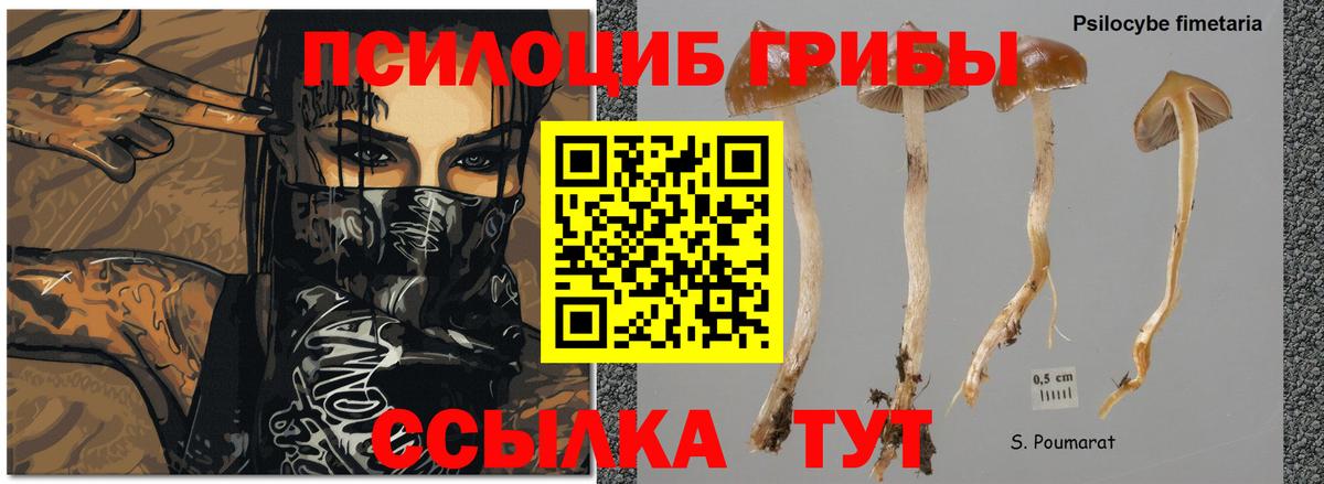 Псилоцибиновые грибы Cubensis  Псилоцибиновые грибы GOLDEN TEACHER  закладки  Нарткала  Вход с VPN 